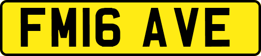 FM16AVE