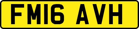 FM16AVH
