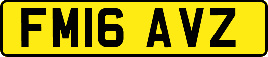 FM16AVZ