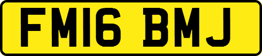 FM16BMJ
