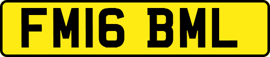 FM16BML