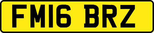 FM16BRZ