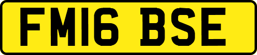 FM16BSE