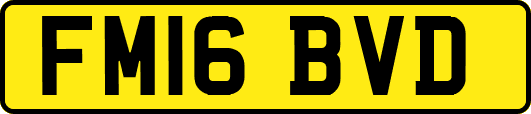 FM16BVD