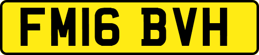 FM16BVH