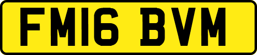 FM16BVM