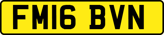 FM16BVN