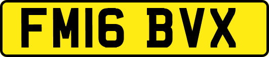 FM16BVX