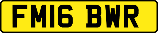 FM16BWR