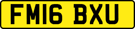 FM16BXU