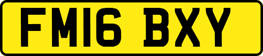 FM16BXY