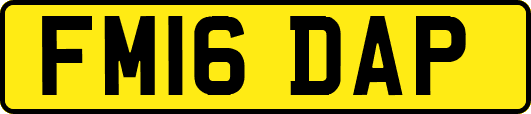FM16DAP