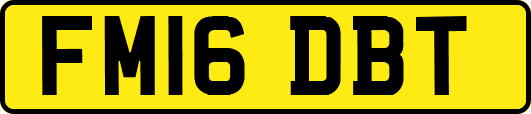 FM16DBT