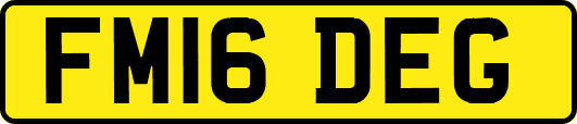 FM16DEG