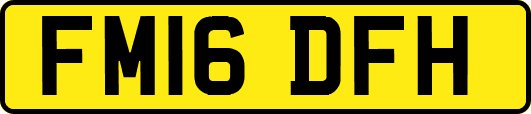 FM16DFH