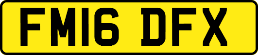 FM16DFX