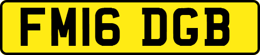 FM16DGB