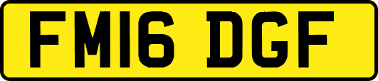 FM16DGF