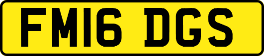 FM16DGS