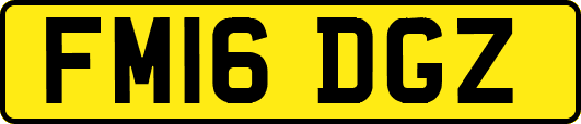 FM16DGZ