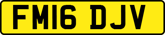 FM16DJV