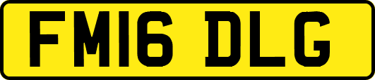 FM16DLG