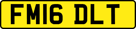 FM16DLT