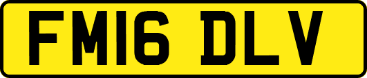 FM16DLV