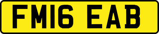 FM16EAB