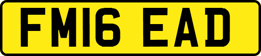 FM16EAD