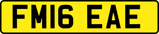 FM16EAE