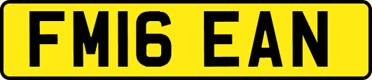 FM16EAN