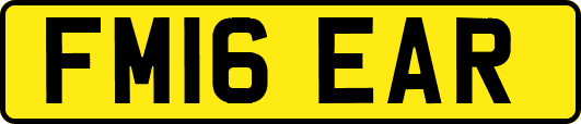 FM16EAR
