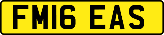 FM16EAS