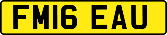 FM16EAU
