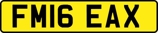 FM16EAX