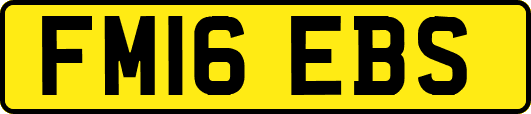 FM16EBS