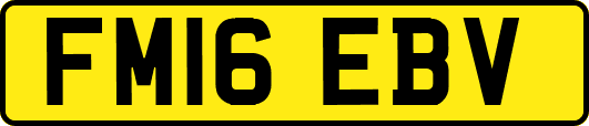 FM16EBV