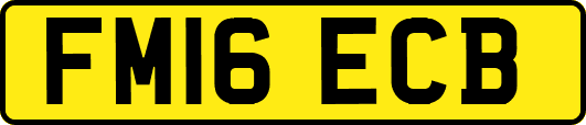 FM16ECB