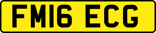 FM16ECG