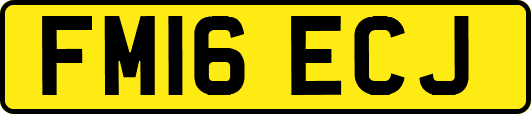 FM16ECJ