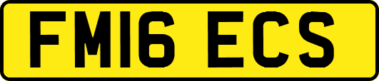 FM16ECS