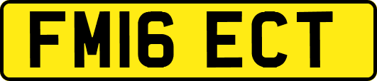 FM16ECT