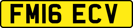 FM16ECV