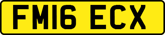 FM16ECX