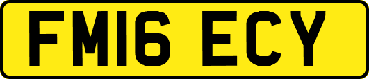 FM16ECY
