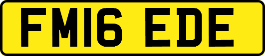 FM16EDE