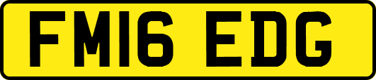 FM16EDG