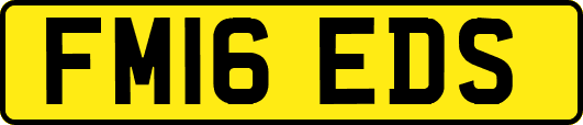 FM16EDS