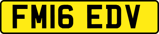FM16EDV